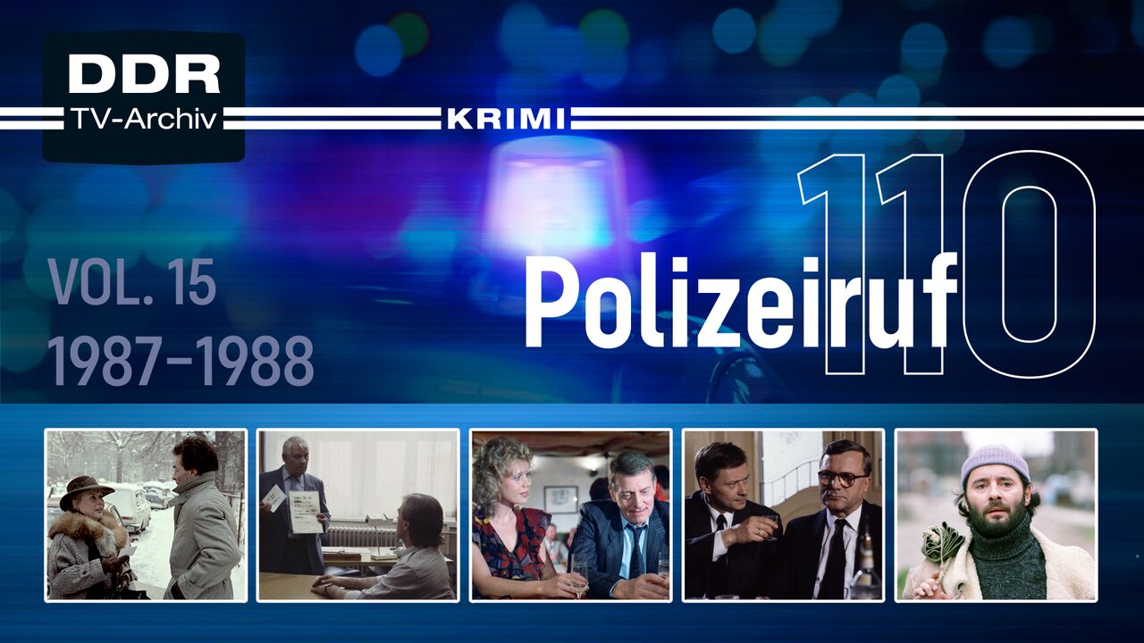 Staffel 15, Folge 8: Der Kreuzworträtselfall